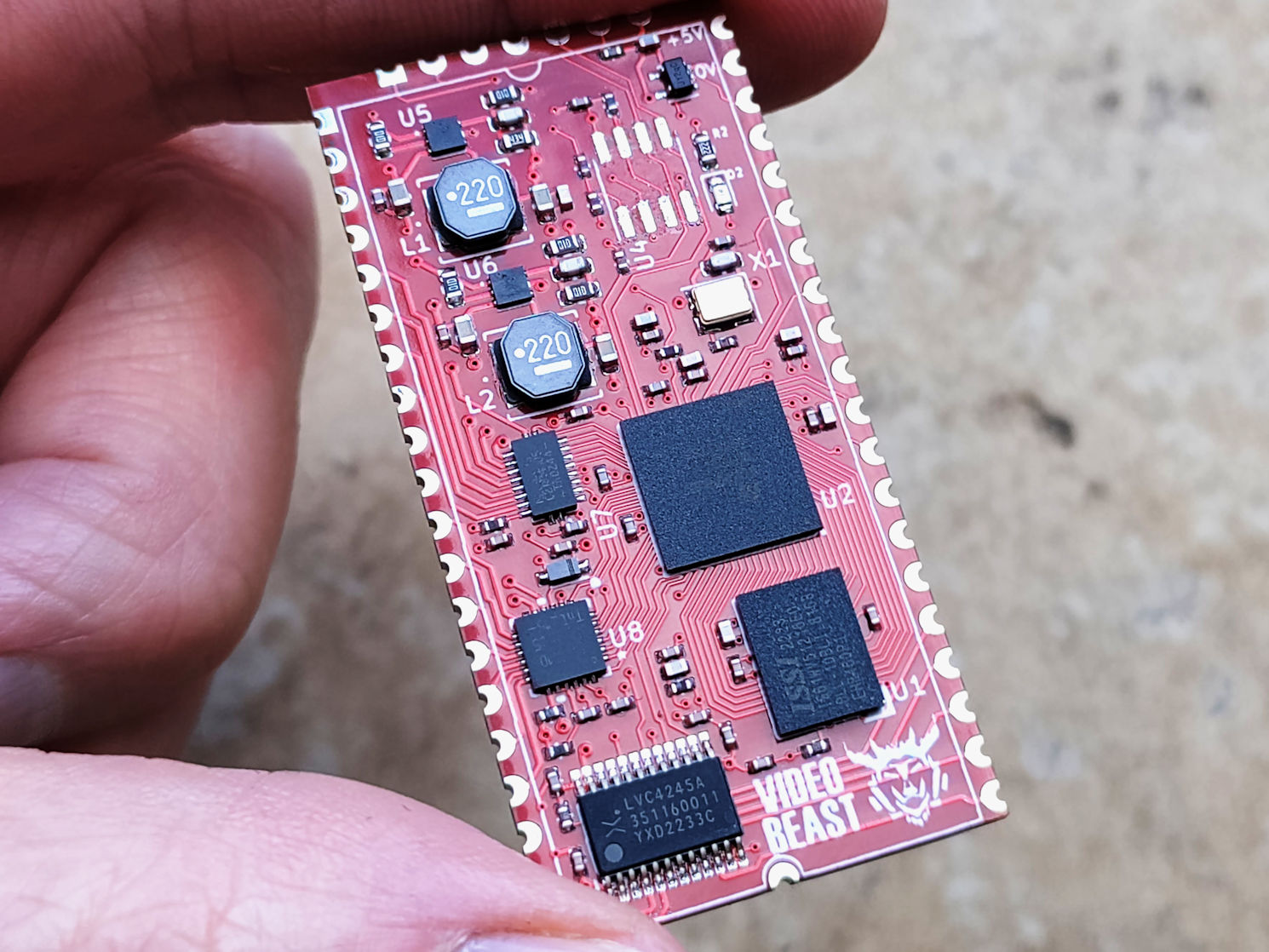 Holding the VideoBeast chip